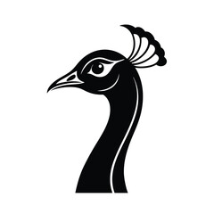 Obraz premium a vector illustration of peacock head.