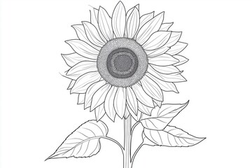 Fototapeta premium Symmetrical sunflower sketch drawing for coloring activity