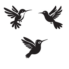 Lovely Humming Bird Vector Illustration