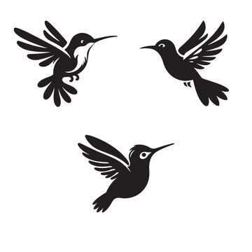 Lovely Humming Bird Vector Illustration