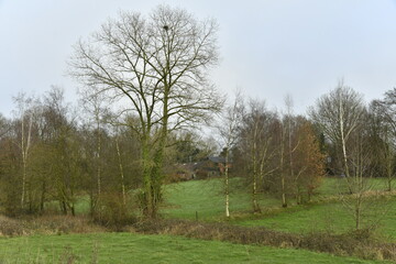 Paysage rural en hiver sous un ciel gris à Écaussinnes d'Enghien (Hainaut) 