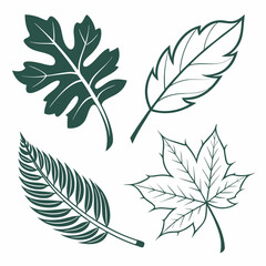 Obraz premium set of leaves