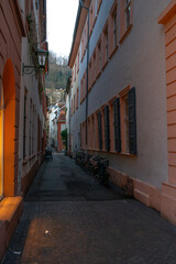Fototapeta premium Heidelberg: Romantic city on the Neckar River, famous for its castle, historic old town, Germany’s oldest university, and picturesque scenery between the Neckar Valley and the Odenwald Forest