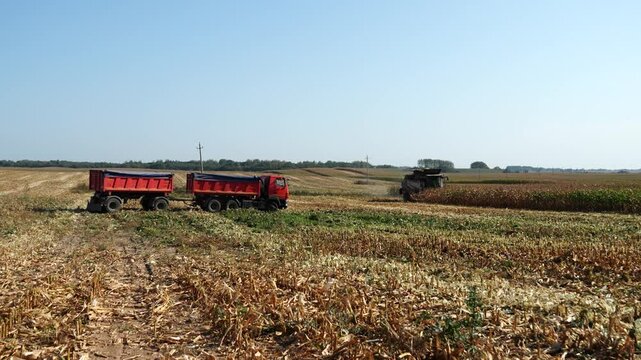 Combine harvester working on a wheat field