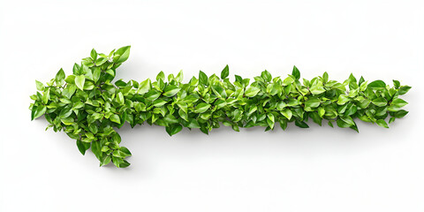 Obraz premium Left-Pointing Arrow Shaped from Vibrant Green Leaves on a White Background, Representing Nature and Sustainability