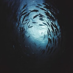 Captivating Underwater Encounter   Vast School of Fish Swimming in Mysterious Circular Formation