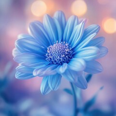 Fototapeta premium Spring Blue Flower Close-Up with Delicate Petals and Natural Blooming Details Against Soft Gradient Background