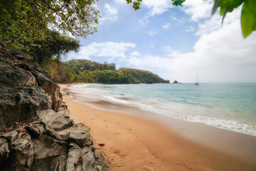 Foaming surf collides with wild coast, wild nature, remote sandy beach in Tobago, Trinidad and Tobago. Wild coast beach for nature paradise. Ideal for beach branding, travel mags, or exploration ads.