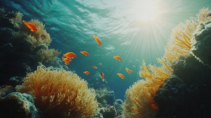 Obraz premium Vibrant Underwater Scene with Colorful Coral Reef and Marine Life in Crystal Clear Ocean Water