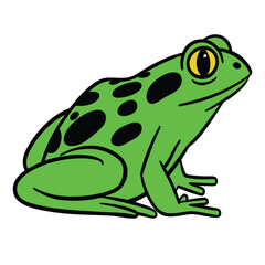 frog on a white background