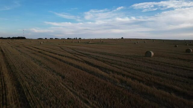 An aerial view of agricultural fields