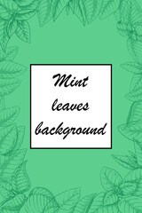 Mint leaves background. Green peppermint. Melissa plant. Aromatic herb. Spicy twigs for culinary. Botanical sketch border. Menthol taste. Spearmint foliage. Vector frame banner design