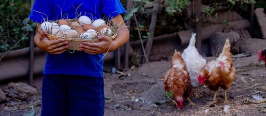 Farm Boy Collecting Fresh Eggs © Anna