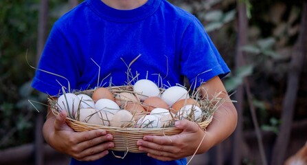 Farm Boy Collecting Fresh Eggs © Anna