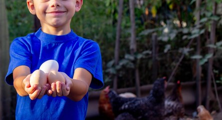 Farm Boy Collecting Fresh Eggs © Anna