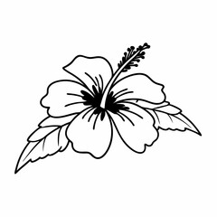 black and white flower