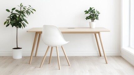 Modern minimalist workspace with plants