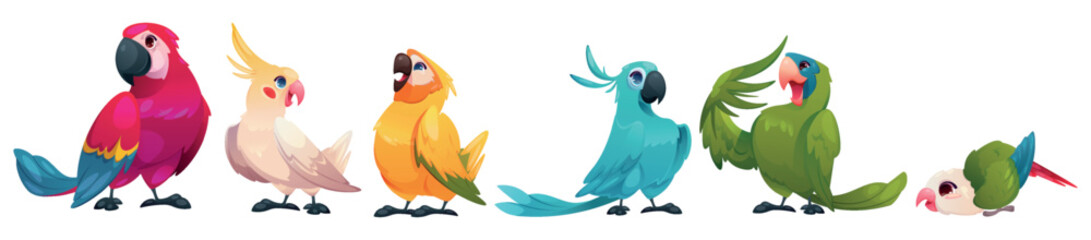 Cartoon parrot. Flying bird. Tropical macaw. Cute baby wing happy character. Colorful feathers. Exotic animals. Funny parakeet. Jungle avian creature. Vector isolated rainforest birdies set