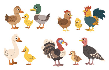 Poultry cartoon children's set. Families of domestic birds with male, female and child. Chicken, turkey, goose and duck.