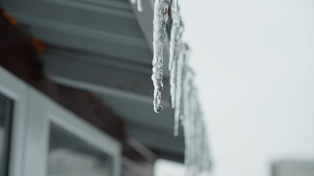 Close-up of house metal roof edge covered with long icicles melting and dripping water droplets, highlighting intricate frozen textures and natural thawing process