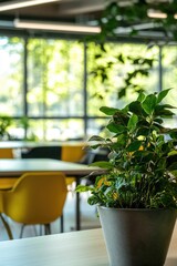 A potted plant sits on a table in a cozy room, perfect for home decor or office use