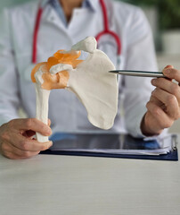 Medical professional demonstrating shoulder anatomy