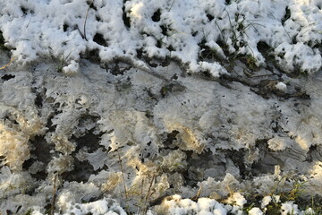Effet de fonte des neiges et regel dans l'un des champs à Écaussinnes d'Enghien 