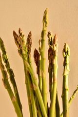 Green fresh asparagus from the garden