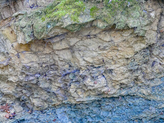 Gesteinsschichten im Muschelkalk