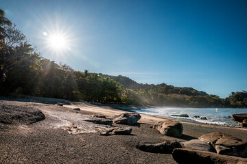 tropical beach with palm trees