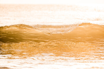beautiful wave during sunset golden hour orange pretty ocean sea 