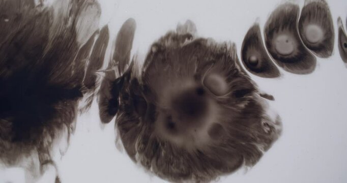 Watercolor drop. Artistic fluid. Contrast black ink splatter on light wet white surface. Spreading dark paint water abstract background.