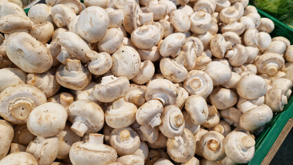 Sale of champignons in a supermarket. Champignons in plastic boxes, close-up. Mushrooms in a store. A pile of champignons for sale at the market with selective focus