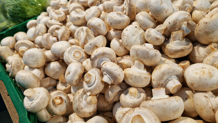 Sale of champignons in a supermarket. Champignons in plastic boxes, close-up. Mushrooms in a store. A pile of champignons for sale at the market with selective focus