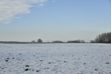 Vaste champ sous la neige par un ciel mitigé à Écaussinnes-d'Enghien (Hainaut)