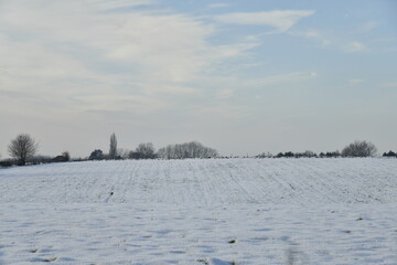 Vaste champ sous la neige par un ciel mitigé à Écaussinnes-d'Enghien (Hainaut)