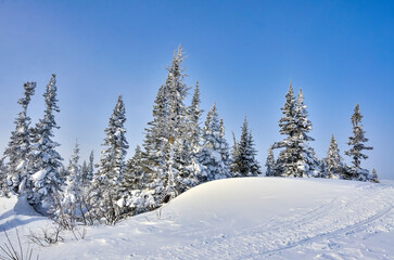 Winter landscape in mountains in frost sunny weather.