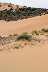 Sand dunes in Is Arenas, Torre dei Corsari. Costa Verde Oristano, Sardinia. Iralia