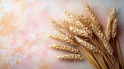 Golden wheat ears arranged on a textured pastel background