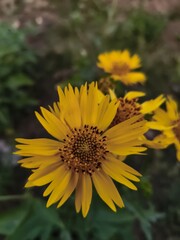 Fototapeta premium This natural pic take this photo on river 