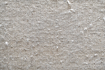 Dirty old rug or carpet with cat scratching, pet hair, human hair and lots of dust on it. Pulled...