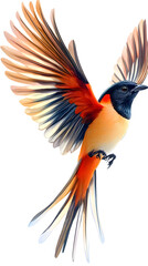 Fototapeta premium Colorful Bird in Flight: Majestic Wildlife Art with Detailed Vibrant Plumage