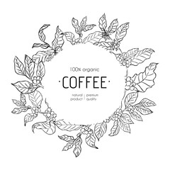 Coffee plant wreath with leaves and berries in botanical line art style. Circular floral frame on a white background. Black and white illustration. Template for branding, packaging, and label design.
