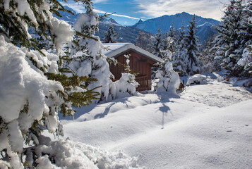 Fototapeta premium winter landscape in alpine french mountain covered with snow under blue sky and snowy chalet in fir trees