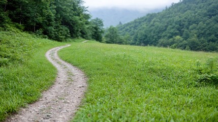 Obraz premium Winding path through a grassy mountain meadow