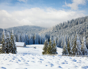 Winter calm mountain landscape with ski tracks (view from Bukovel ski resort (Ukraine) to Svydovets ridge)