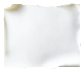 Textured paper on clear background