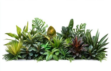 Fototapeta premium Tropical foliage arrangement, studio shot, white background, greenery decor