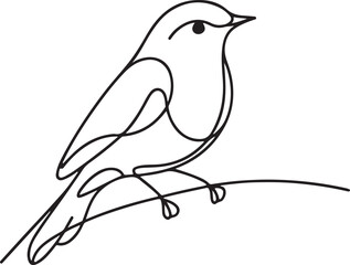 Bird-Themed Vector Art. Robin Line Drawing in Minimalist Style