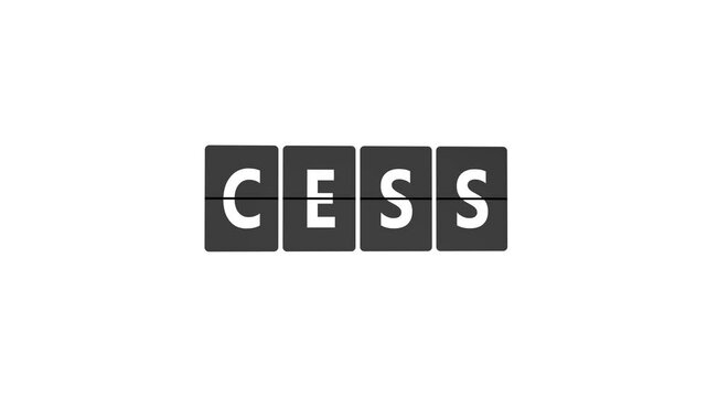 Word CESS on Flip Board